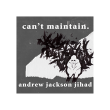 Load image into Gallery viewer, Andrew Jackson Jihad - Can&#39;t Maintain CD