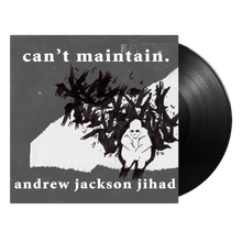 Load image into Gallery viewer, Andrew Jackson Jihad - Can&#39;t Maintain Vinyl